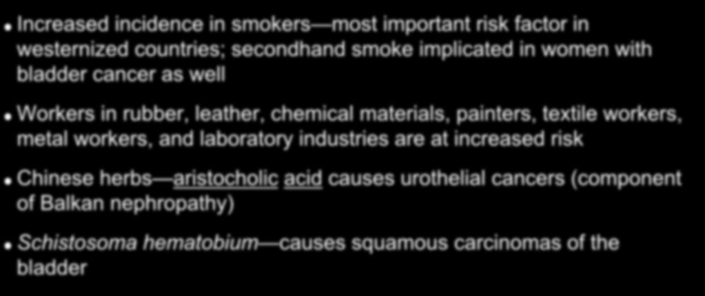 Carcinogens and Bladder Cancer Increased incidence in smokers most important risk factor in westernized countries; secondhand smoke implicated in women with bladder cancer as well Workers in rubber,