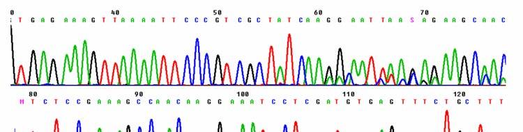 Somatic mutation tests Recurrent/Known mutations: Tests to detect specific sequences Probes, restriction