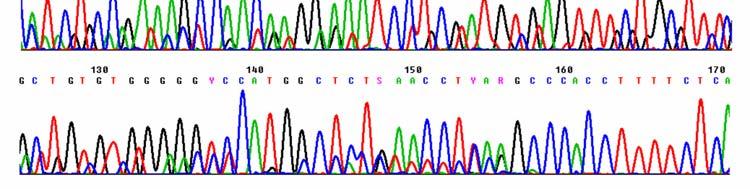 Use of sequence-specific primers can enrich for mutant sequence.