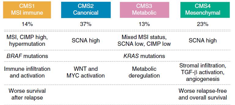 CRC molecular profile - Predictive impact?