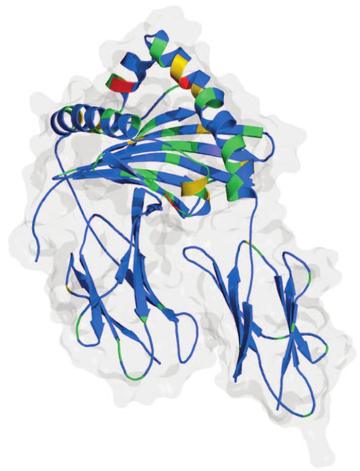 β 1 β 1 α 2 Polymorphism in HLA-DQA1 and -DQB1 3 DQA1 mutation DQB1 mutation β 2 Nonsilent substitutions Frequency 2 1 0 3 0 0 50 100 150 200 Mature protein position Supplemental Figure 2 Major