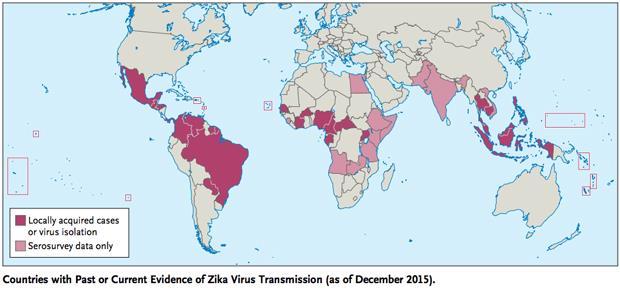 Zika Virus Flavivirus Originally discovered in Africa Outbreaks