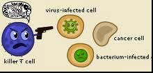 Bacterial Cell Bacterial Cell Virus