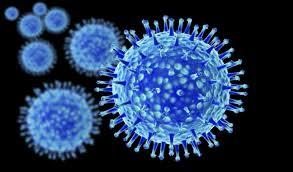 The cell dies when many new virus particles