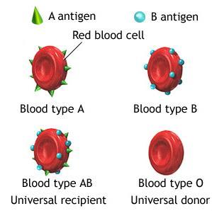 Blood Type antigens &
