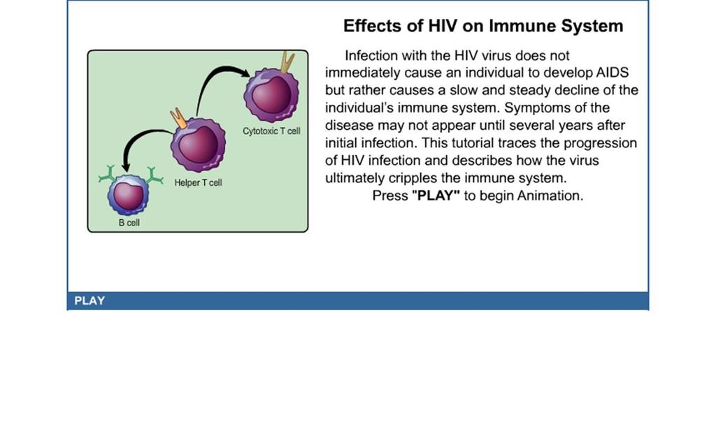 Stages of HIV Infection Web
