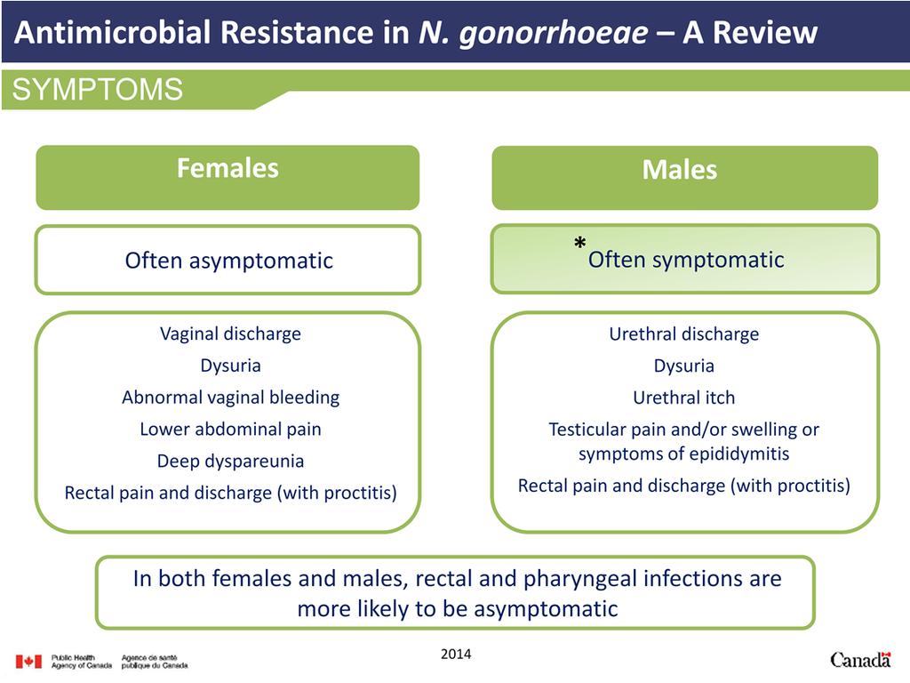 Symptoms of a gonococcal infection vary between sexes. Females are often asymptomatic.