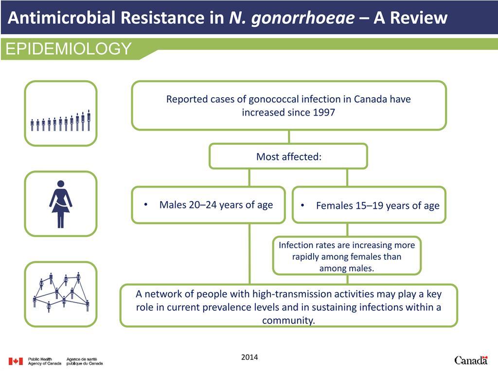 There has been a gradual and steady increase in reported cases of gonococcal infection in Canada since 1997.