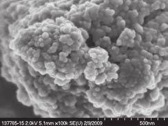 Both materials (DEB and T shades) contain zirconia/silica clusters (Figure 14), silica nanoparticles and zirconia nanoparticles.