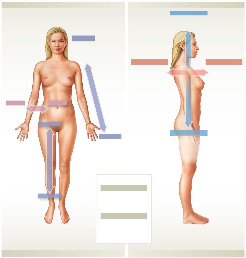 Figure 1-7 Directional References. Superior: Above; at a higher level (in the human body, toward the head) The head is superior to the knee.