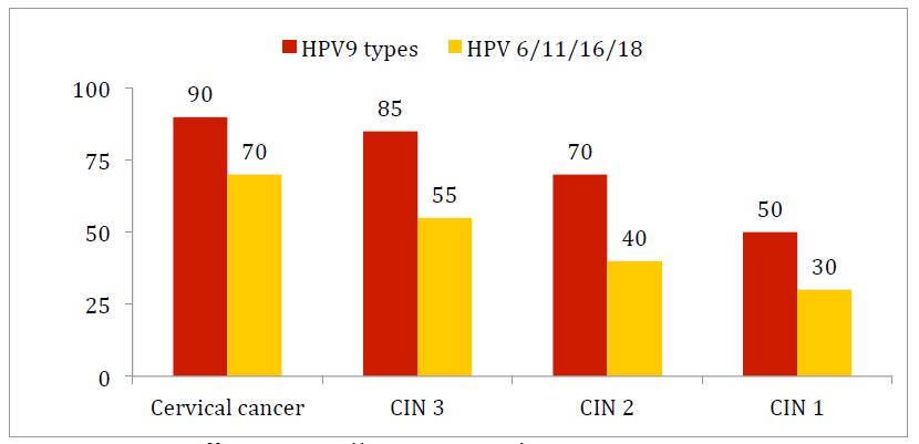Expected efficacy of 9HPV vaccine against cervical intra-epithelial lesions Serrano