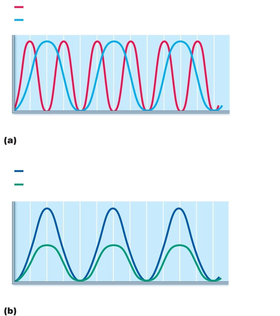 Pressure Pressure Frequency and amplitude of sound waves. High frequency (short wavelength) = high pitch Low frequency (long wavelength) = low pitch 0.01 0.02 0.