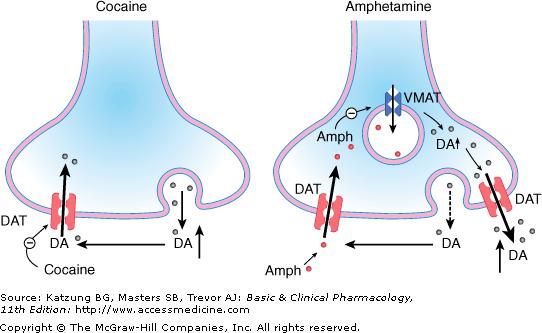 Neurotransmission-Associated Neurotoxicity Cocaine and Amphetamines: The euphoric and addictive properties of cocaine derive from enhanced dopaminergic neurotransmission by the