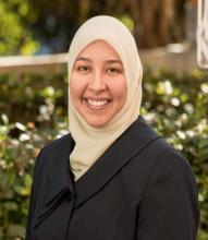 Highlights: An Overview of Selected NIMH Funded Projects January 24, 2018 Rania Awaad, M.D.