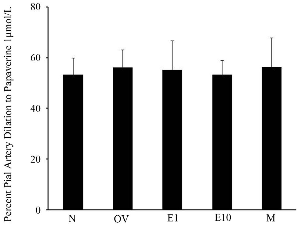 estrogen-replaced females 1 week after OVX (E1) or 10 weeks after OVX (E10); * p < 0.05 from preischemic pial diameter. Data are expressed as mean ± SD.