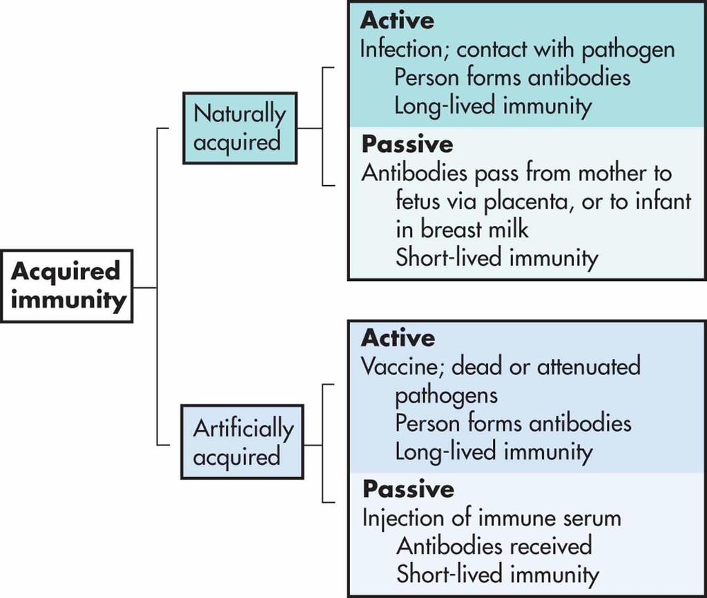 Figure 14-10 Types of immunities.