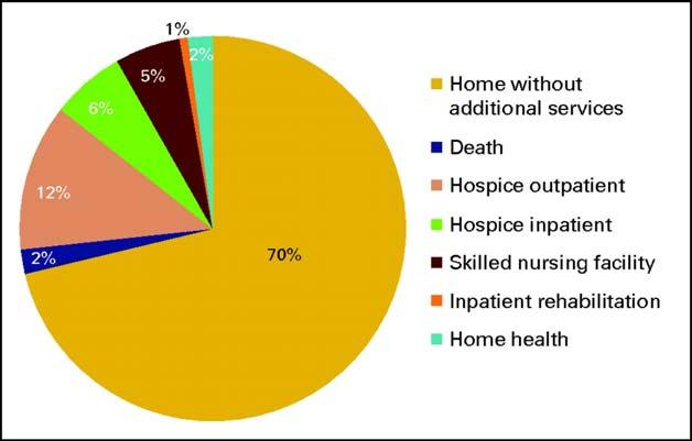 Percentages of patients who received supportive services at discharge. Gabrielle B. Rocque et al.