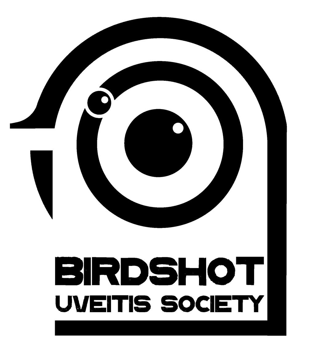Birdshot Chorioretinopathy (shortened to Birdshot Uveitis or Birdshot) is a rare and potentially blinding chronic posterior uveitis.