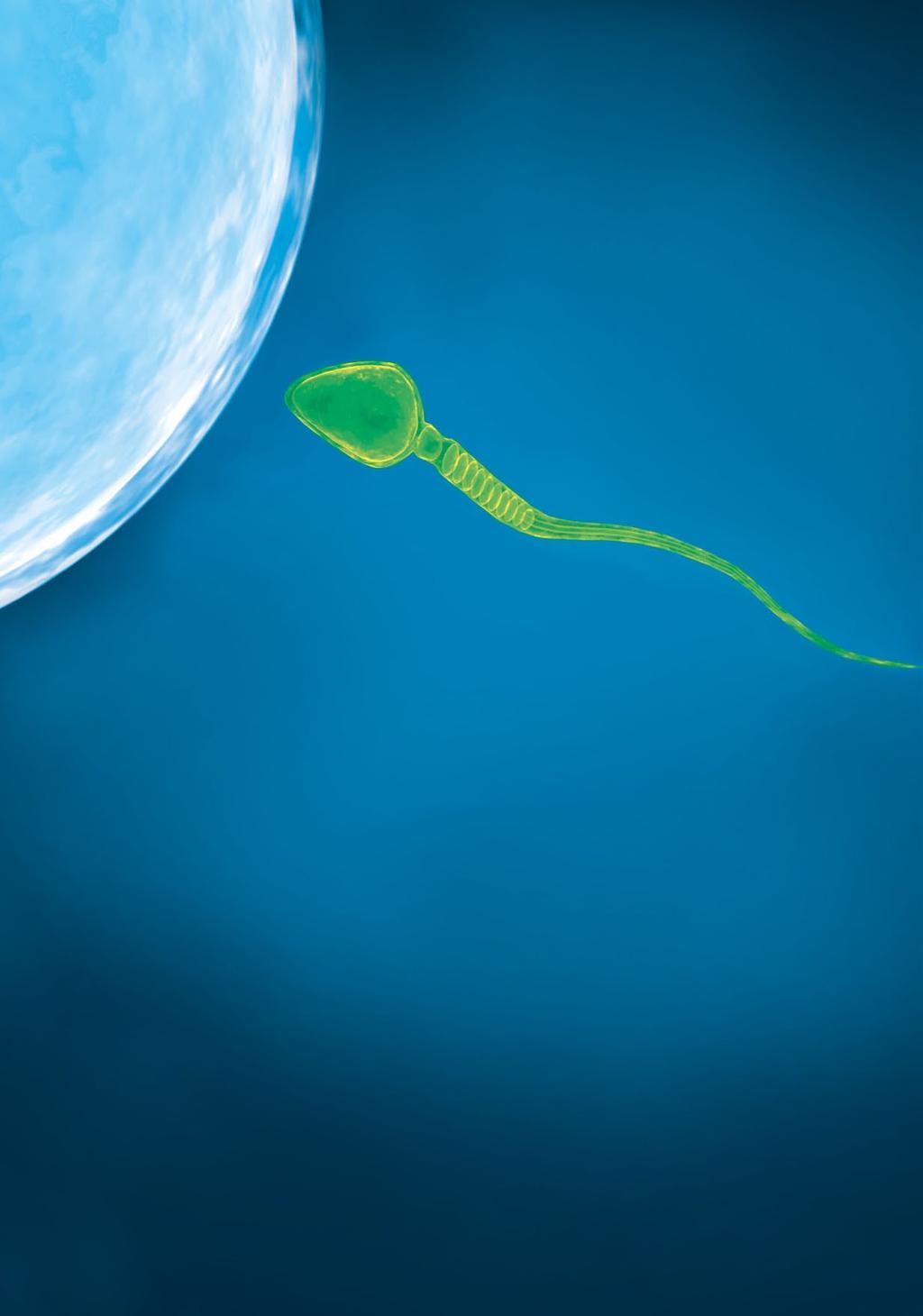 Easy, fast, and specific depletion of unwanted apoptotic spermatozoa Improve quality of sperm