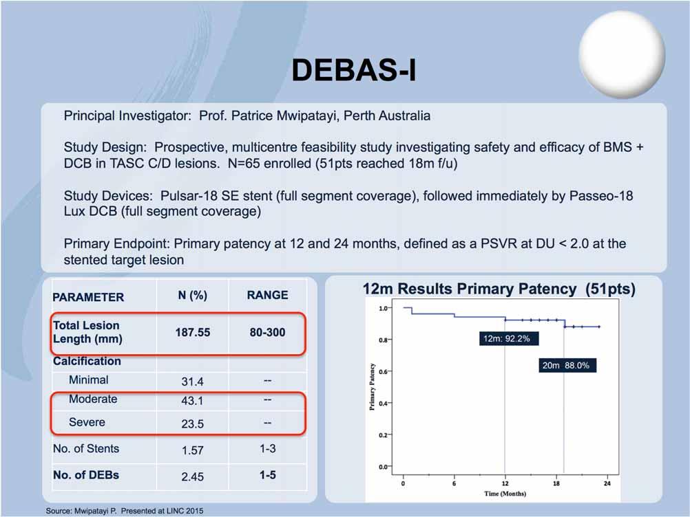 DEBAS-I DEBAS-I Principal Investigator: Prof.
