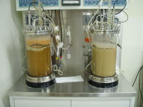 using fermentor