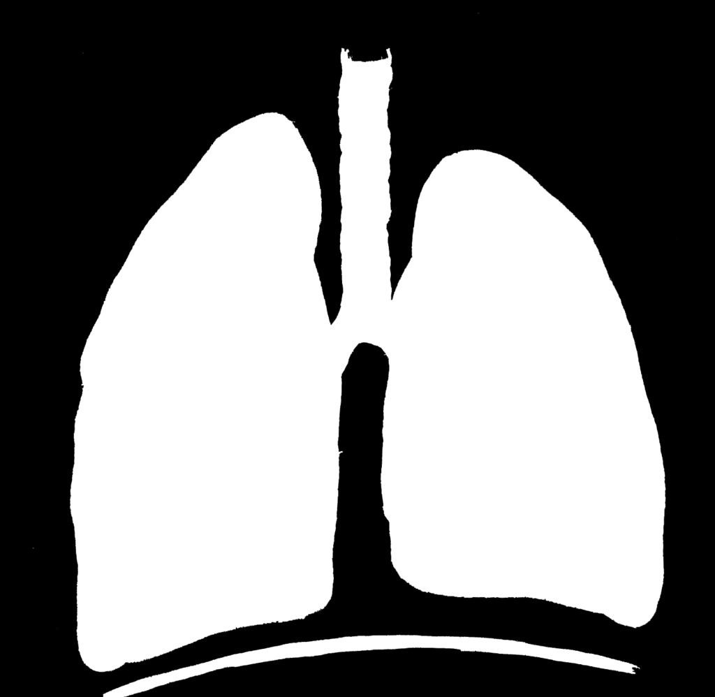 The inside of your lungs are like a huge sponge.