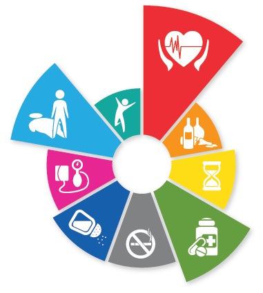 THE WHO GLOBAL NCD ACTION PLAN
