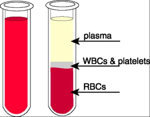 PLASMA The liquid portion of blood.
