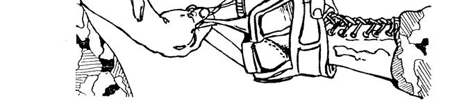 Figure 3-2. Ankle hitch applied to the casualty. i. Apply Manual Traction.
