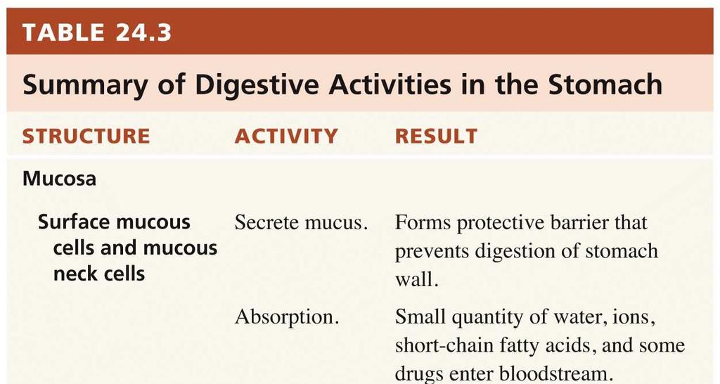 Gastrointestinal Tract  and