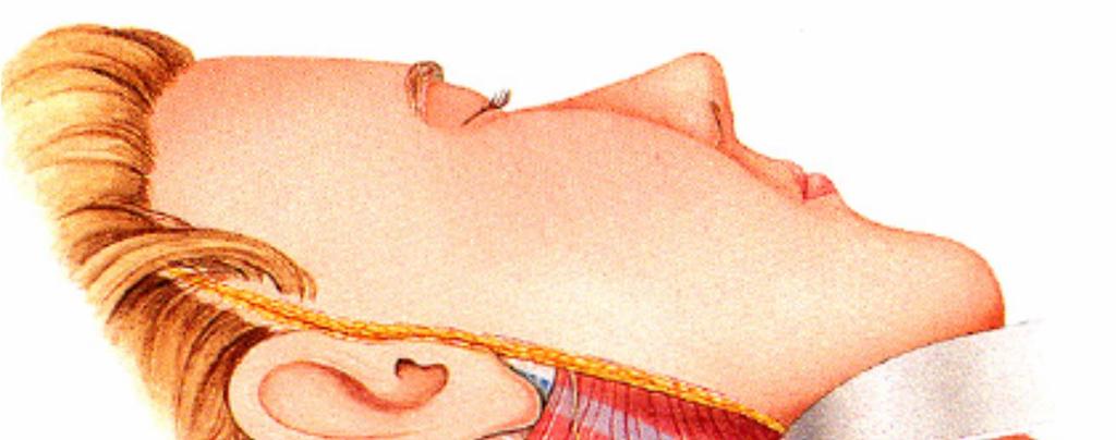Localisation of the cervical