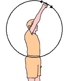 (7) Arm Circles (10 ES) Mobilize the shoulder joint and to improve upper body posture.