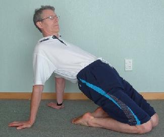 (See appendix for an alternative stretch for the front of the thigh). (7) Side Lying Leg Raises Setup 1. Lie on your side on a knife edge. 2. Zip, and 3.