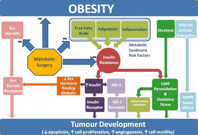 Tumour development Effects