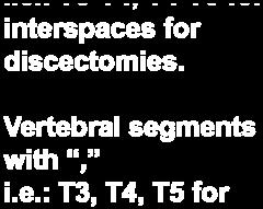 interspaces for discectomies.