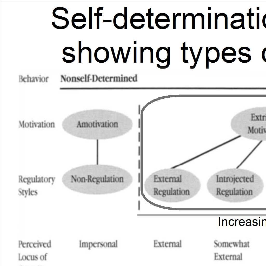 Types of extrinsic motivation Self-Determination Theory (SDT) posits that different types