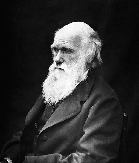 Instinct Theories Darwin s theory of evolution inspired the early