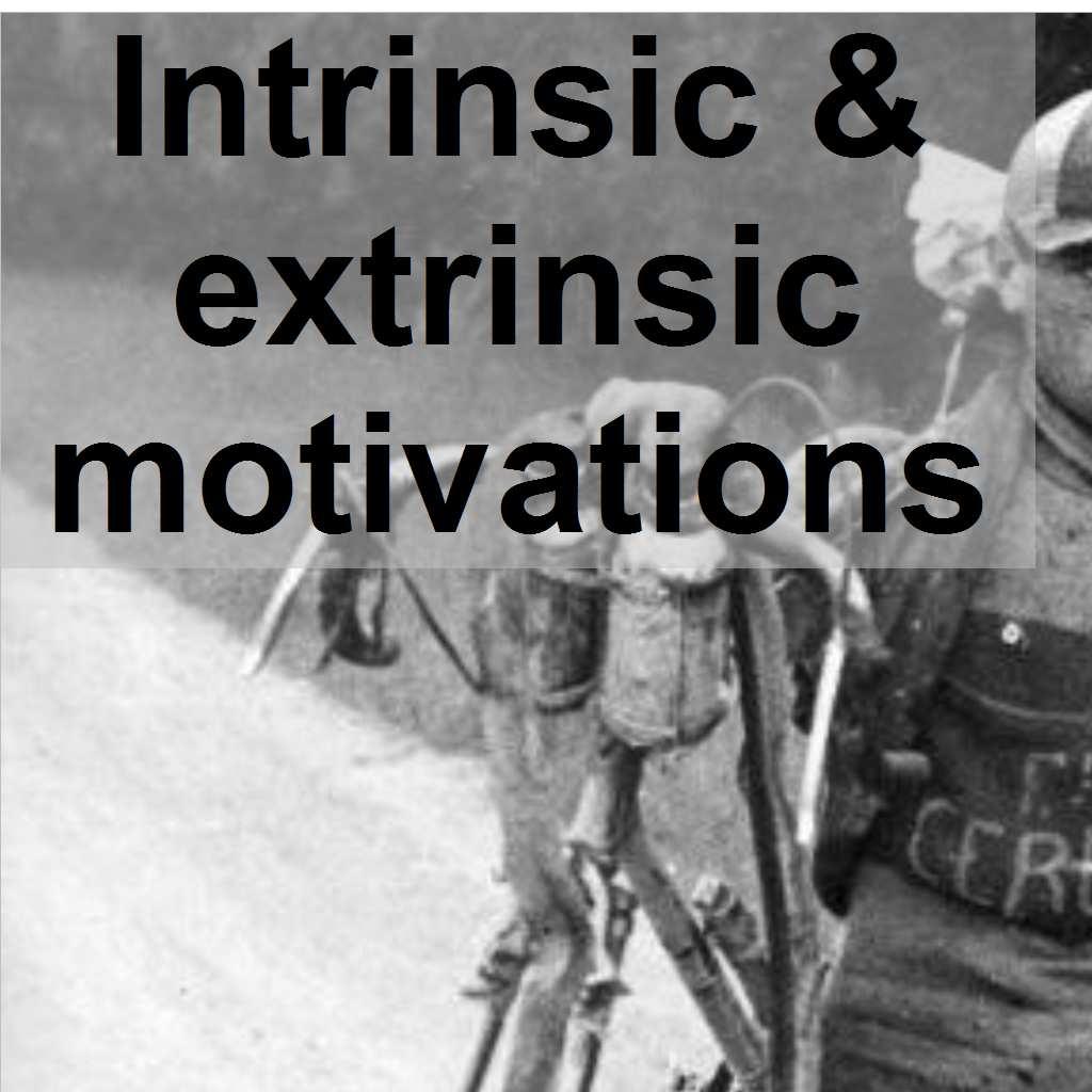 extrinsic motivation Intrinsic & extrinsic motivations External regulation of motivation