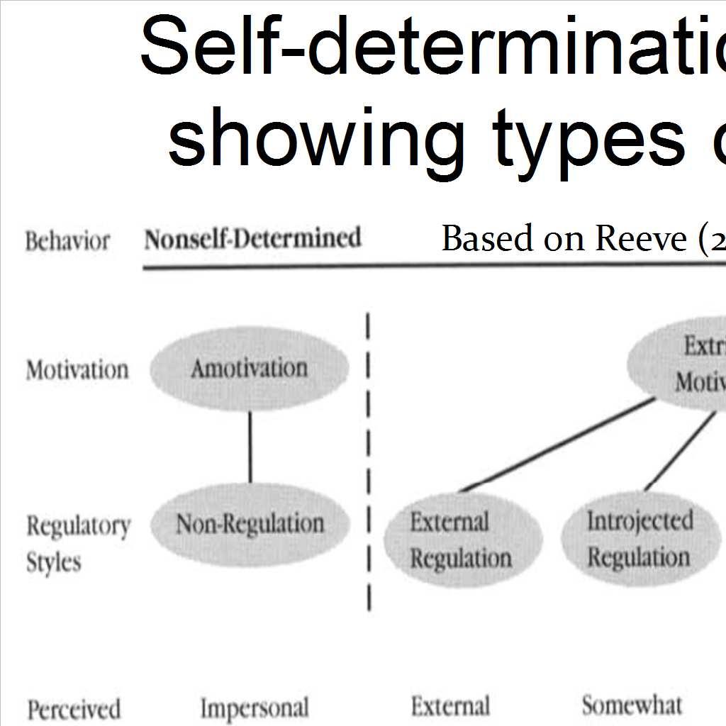 129) 20 Cognitive evaluation theory Any external event (Rewards) Types of extrinsic motivation