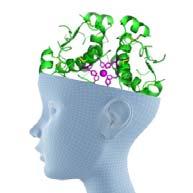 need insulin New Thinking: Insulin plays a significant role in the brain