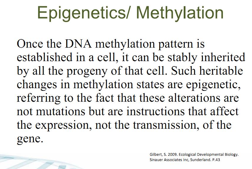 13/02/16 DNA methylation inhibitor, nucleoside