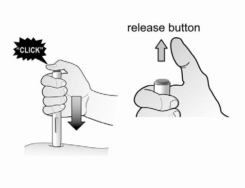 3. Briefly press and release purple button. Do maintain pressure on the skin during the injection.