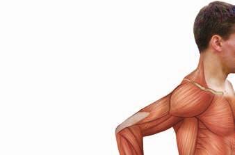 leg muscles, you must overload your leg muscles. Examples of types of PRE for each part of muscle fitness and the basic exercises for specific muscle groups are discussed later in this chapter.