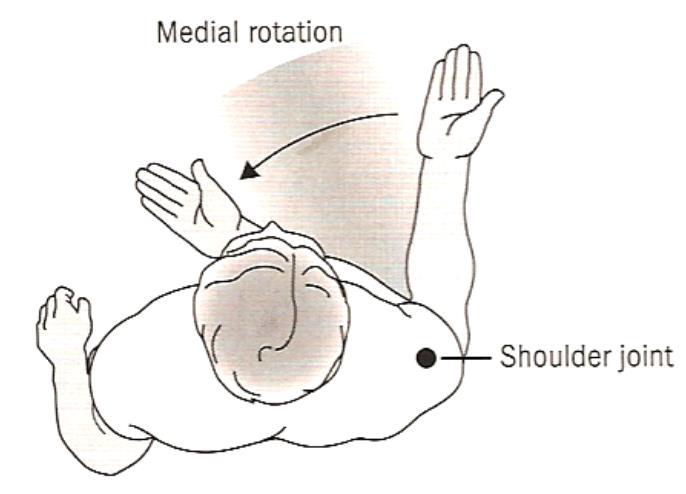 Body Movements Medial Rotation