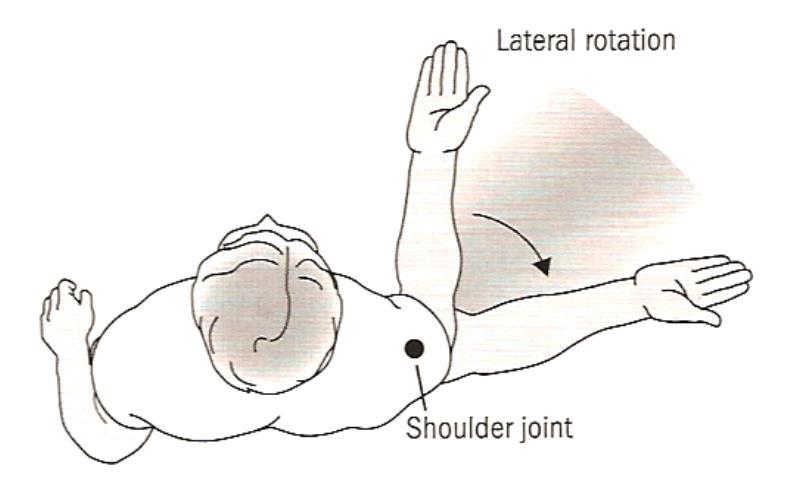 Body Movements Lateral Rotation