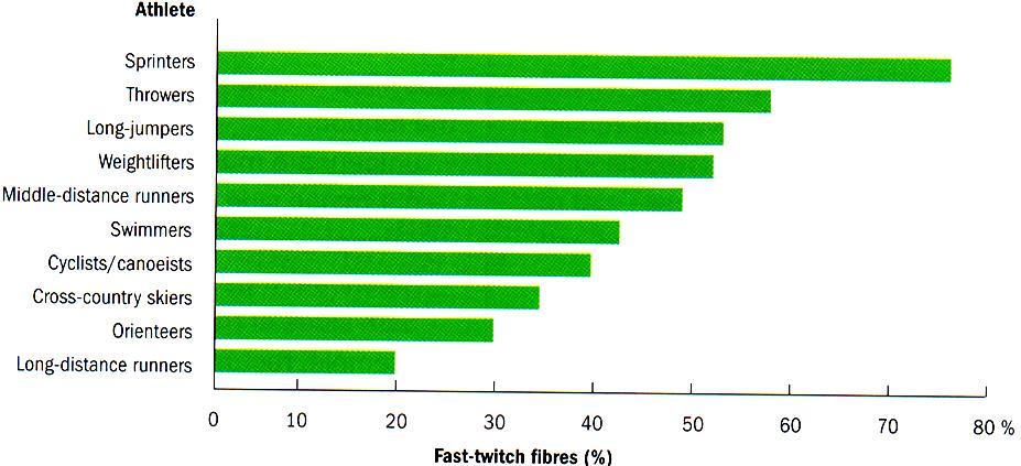 % of Fast Twitch