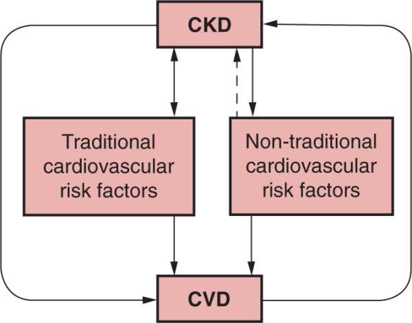 CKD and Cardiovascular Risk Factors Menon et al, Kidney Int 68:1413 1418 [Figure 1], 2005.