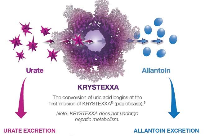 KRYSTEXXA: Differentiating Mechanism of Action Results in Rapid Urate Elimination KRYSTEXXA has a unique mechanism of action Unlike other gout medicines, KRYSTEXXA converts urate, the source of uric