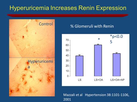 slide 32 They showed that if these animals have high uric acid levels, these rats have significantly high levels of systolic blood pressure, serum creatinine levels, proteinuria and