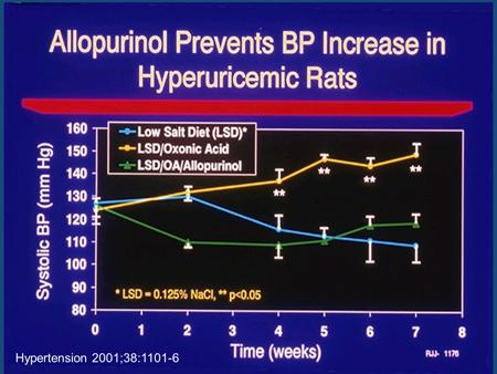 showed that allopurinol decreases blood pressure levels